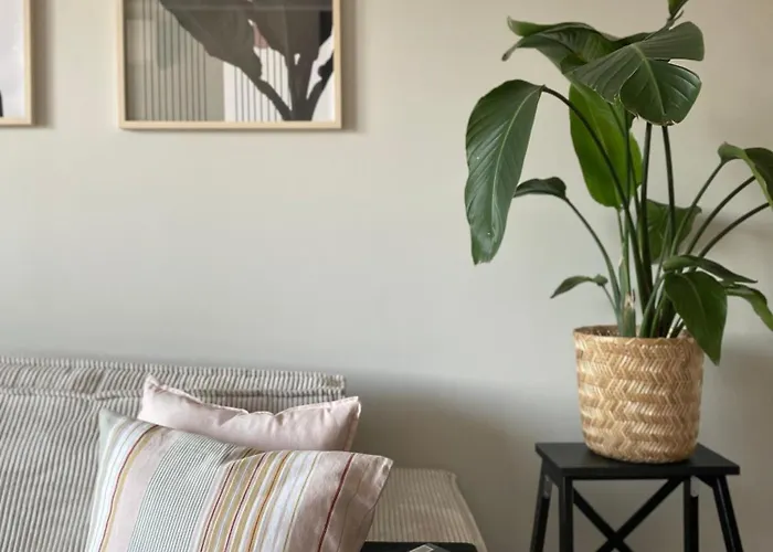 Boho Waves Retreat