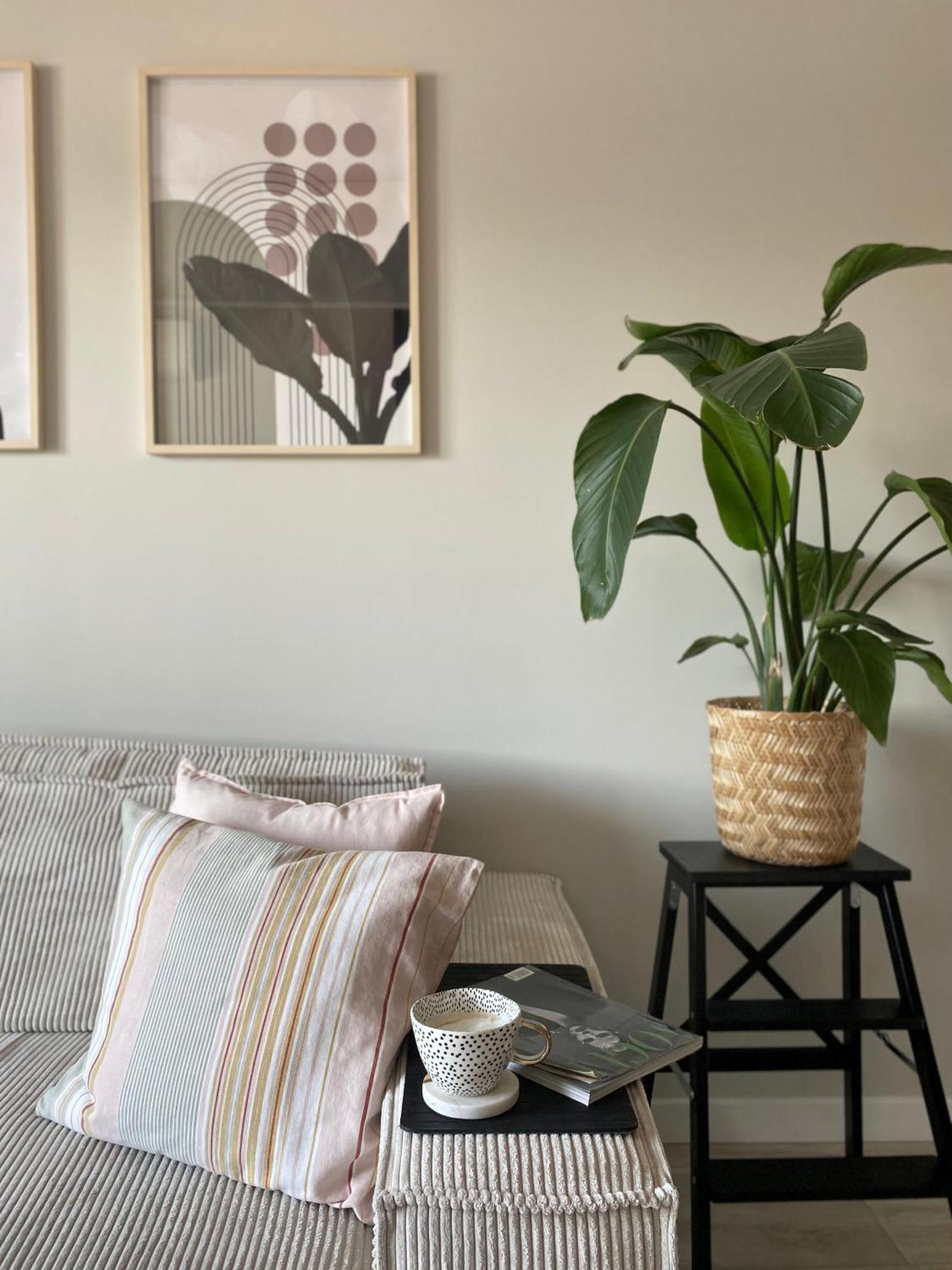 Boho Waves Retreat *